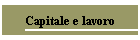 Capitale e lavoro
